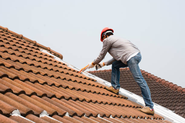 Best Roof Installation  in Fallon, NV