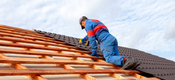 Best Roof Insulation Installation  in Fallon, NV